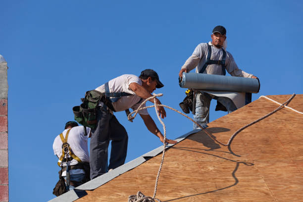 Best Roof Repair Services  in Grant, MN
