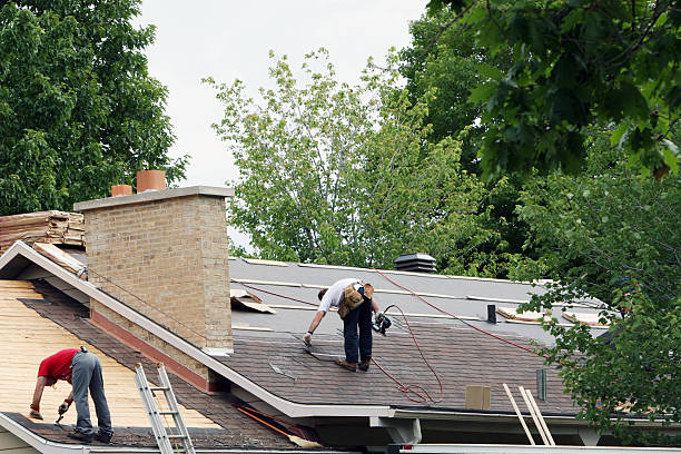 Best Gutter Installation and Roofing  in Grant, MN