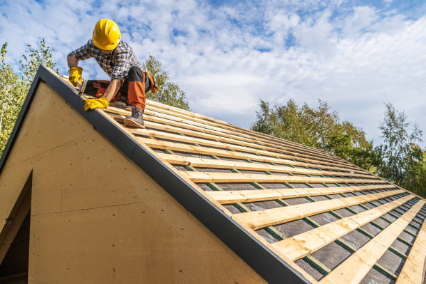 Best Gutter Installation and Roofing  in Grant, MN