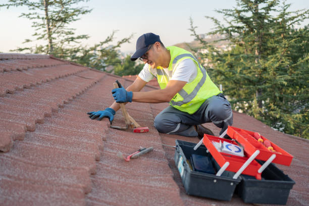 Residential Roof Replacement in Grant, MN