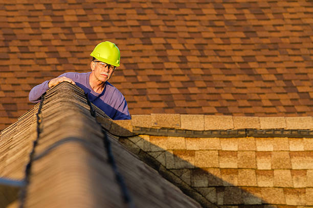 Best Slate Roofing Contractor  in Grant, MN