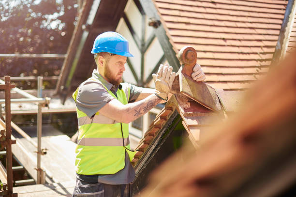 Gutter Installation and Roofing in Grant, MN